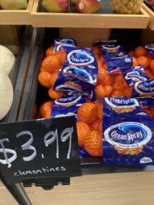 Quick & Healthy Lunch Ideas oranges