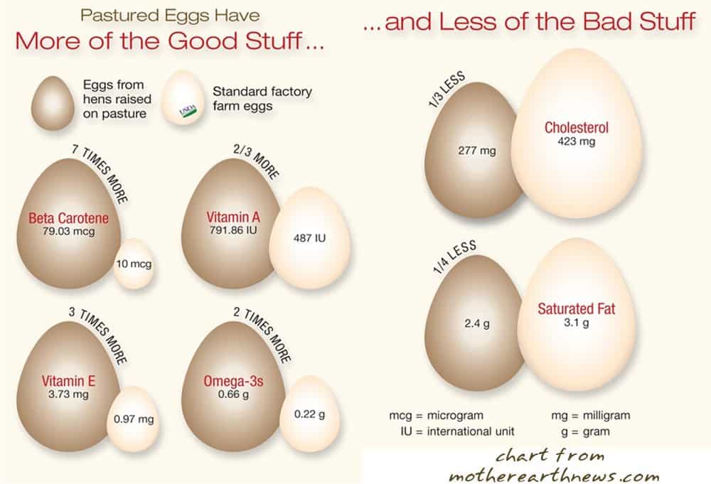 pasture-raised eggs benefits