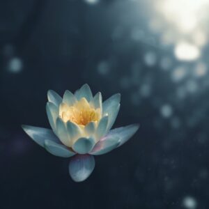 Lotus flower for self love and mantras